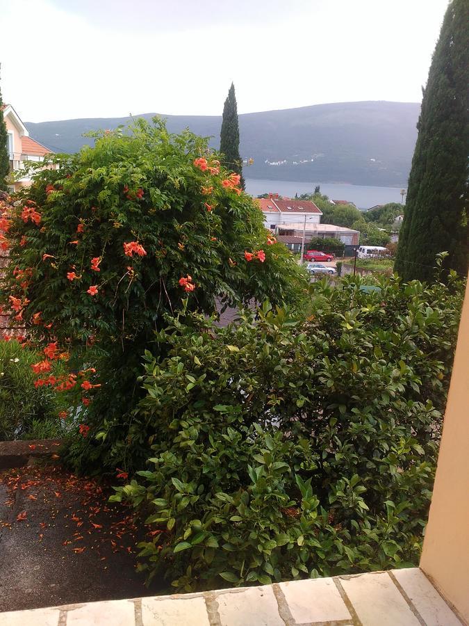 Hotel Sobe Baosici Marina Herceg Novi Exteriér fotografie